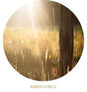 mindfulness-psycholoog-training-eindhoven-ACT